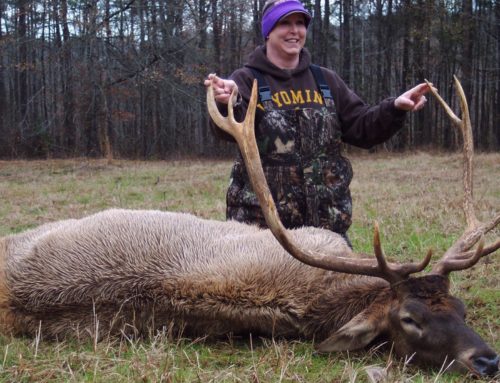 Elk Hunting Alabama Guide