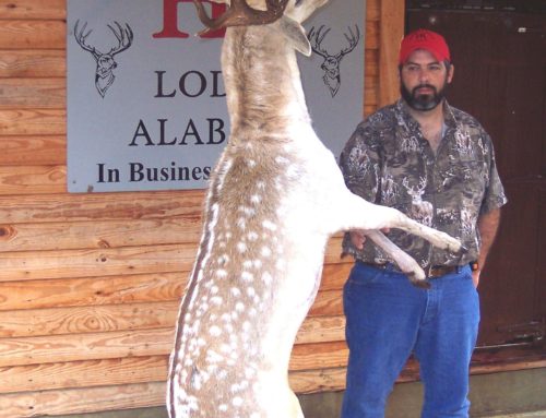 Alabama hunting trips