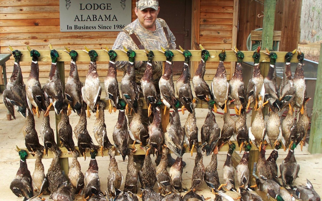 Duck hunting trips Alabama Trophy Hunt