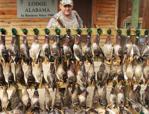Duck hunting trips